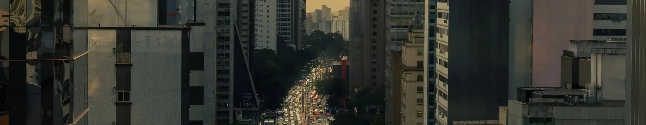 dicassaopaulo.com.br