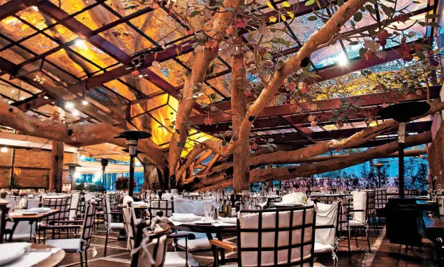 Restaurantes no Jardins SP